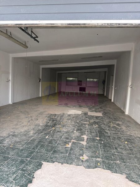 Hala Soseaua Bucuresti- Magurele- planul 2.